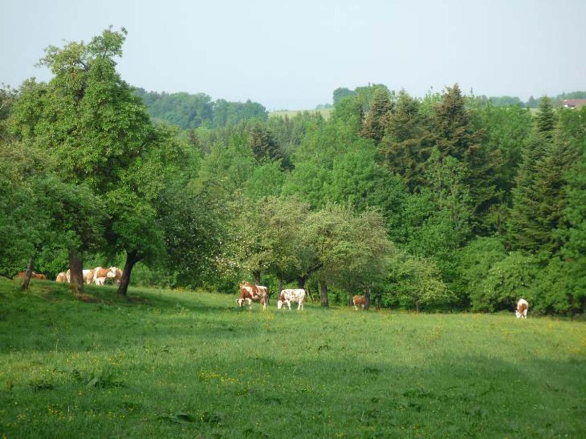 Ringerhof Apartman Bad Endorf Kültér fotó